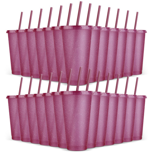 LEIFEOSH 24 Pack Plastic Tumblers with Lids and Straws, Reusable Cups with Lids Plastic Colorful Cups for Parties Birthdays, Iced Coffee Cup Travel Mug Cold Drink Cups Bulk Tumblers (24 oz, Burgundy)