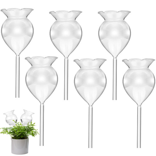 Lallisa 6 Pcs Plant Watering Globes Self Watering Hand Blown Clear Glass Bulbs Plant Automatic Watering Device Garden Waterer for Indoor Outdoor (Flower Shape) Lallisa 6 Pcs Plant Watering Globes Self Watering Hand Blown Clear Glass Bulbs Plant Automatic Watering Device Garden Waterer for Indoor Outdoor (Flower Shape)