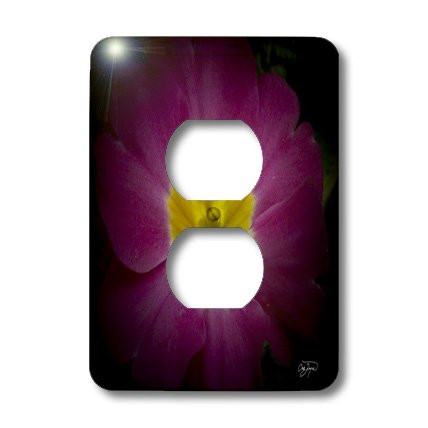 3dRose LSP_49713_6 Purple Passion Flower with Warm Yellow Center Outlet Cover