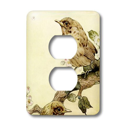 3dRose LLC lsp_42541_6 Little Brown Birds, 2 Plug Outlet Cover