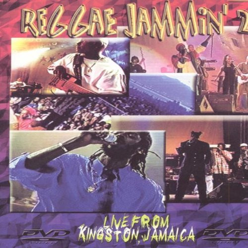 Reggae Jammin', Vol. 2