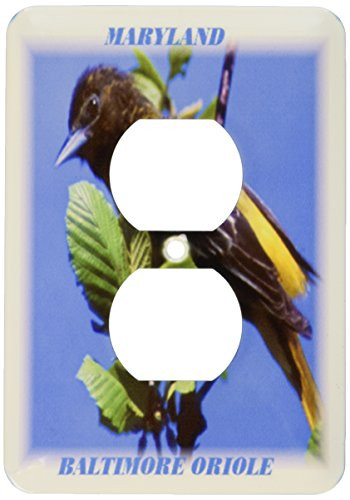 3dRose lsp_50906_6 Maryland State Bird Baltimore Oriole 2 Plug Outlet Cover