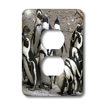 3dRose lsp_12196_6 Penguin Meeting 2 Plug Outlet Cover