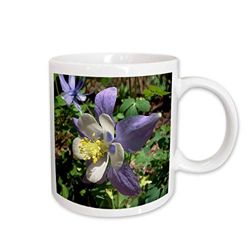 3dRose Columbine Flower Ceramic Mug, 11-Ounce