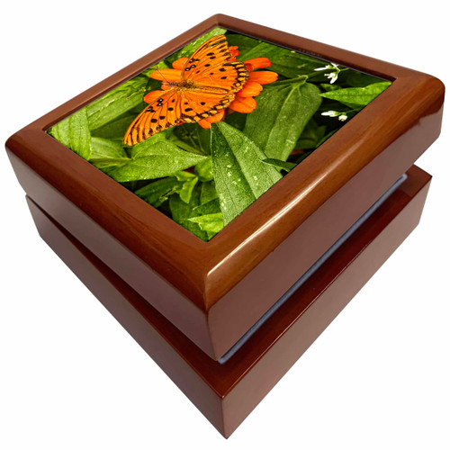 3dRose Orange and Black Butterfly, Jewelry Box jb-63000-1