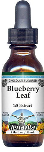Blueberry Leaf Glycerite Liquid Extract (1:5) - Chocolate Flavored (1 oz, ZIN: 522170)