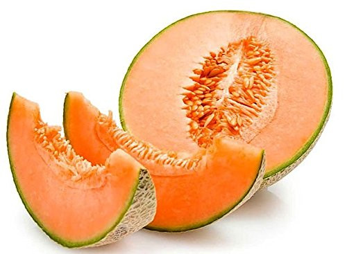 30+ ORGANICALLY Grown Hale's Best Jumbo Musk Melon Seeds, Heirloom Non-GMO, Extra Sweet and Fragrant Cantaloupe, from USA