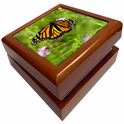 3dRose Butterfly Monarch Flowers Orange Purple Green, Jewelry Box jb-27796-1