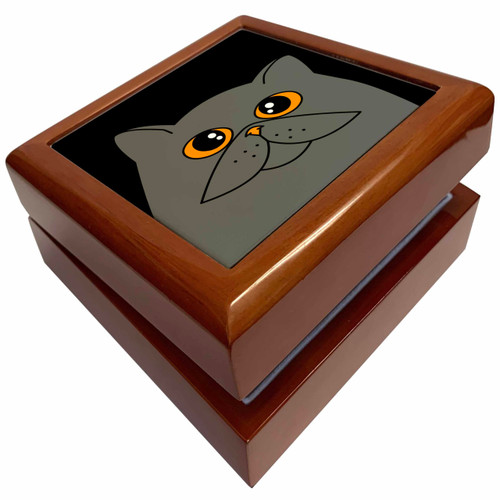 3dRose The Curious Cat Grey with Orange Eyes Black, Jewelry Box jb-31219-1