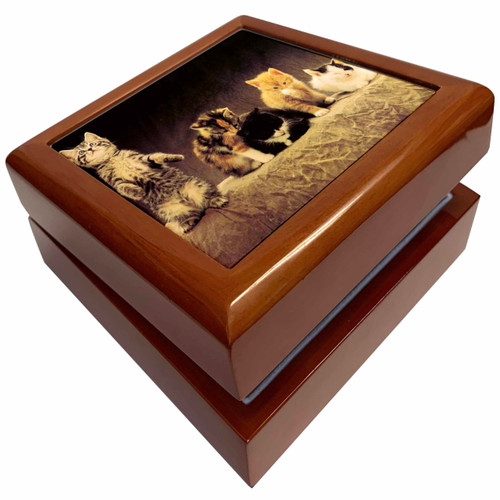 3dRose 5 Purrs, Jewelry Box jb-16767-1