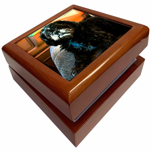 3dRose Black and White Shiatsu Lhasas Doggie Family Pet In The Front Seat of The Car Done in Poster Finish, Jewelry Box jb-49446-1 3dRose Black and White Shiatsu Lhasas Doggie Family Pet In The Front Seat of The Car Done in Poster Finish, Jewelry Box jb-49446-1