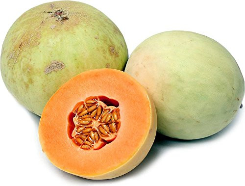 20+ ORGANICALLY Grown Orange Flesh Honeydew Melon Seeds, Heirloom Non-GMO, Super Sweet and Fragrant, Extra Productive, from USA