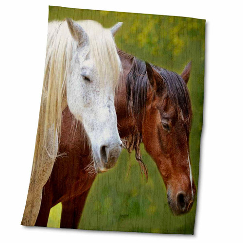 3dRose Photo of Two Horses, one Brown Horse and one White Horse - Towels (twl-186890-2)