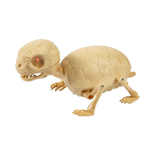 Fun Express Animated Skeleton Turtle Halloween Decoration - Home Decor - 1 Piece