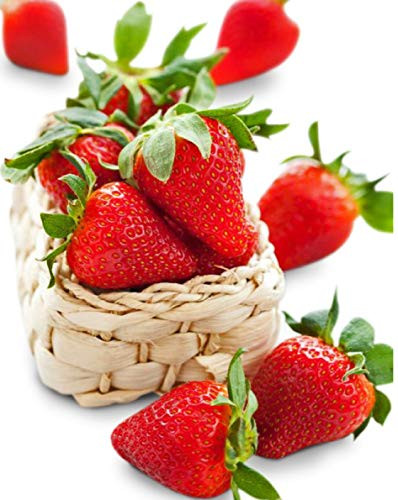 Eversweet Strawberry 315 Seeds + 1 Free Plant Marker - Large, Sweet Strawberries for 3 Seasons
