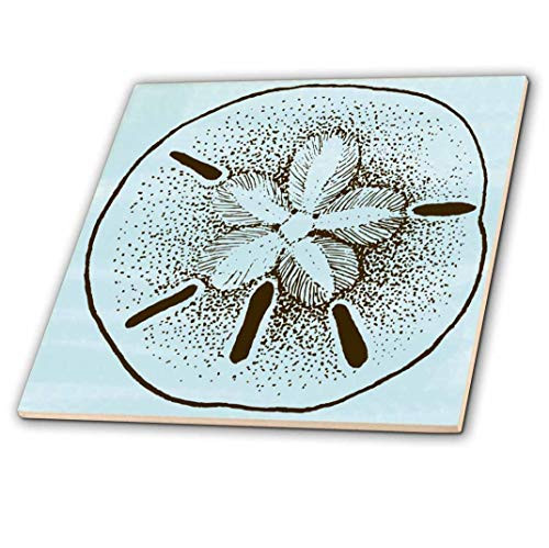 3dRose ct_99317_1 Blue and Brown Sand Dollar Shells Beach Theme Art Ceramic Tile, 4-Inch