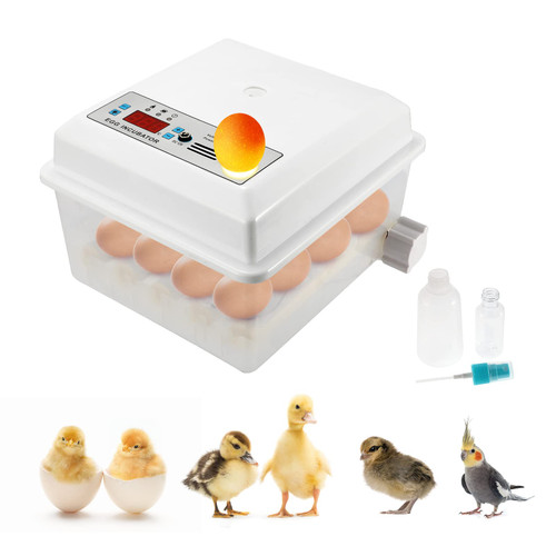 POWLAB Fully Automatic Egg Incubator for 16 Eggs, Poultry Hatcher Machine with Temperature Self-Control, Automatic Egg Turner & Egg Candler, Ideal for Hatching Chickens, Quail, Duck, Goose, Turkey