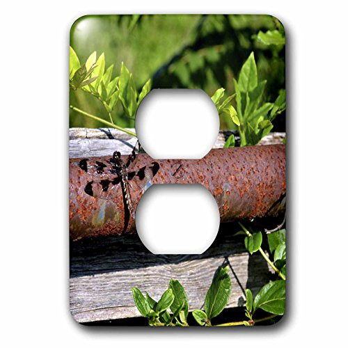 3dRose lsp_53656_6 Dragonfly On Fence Post Outlet Cover