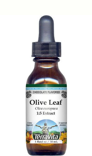 Olive Leaf Glycerite Liquid Extract (1:5) - Chocolate Flavored (1 oz, ZIN: 513187) - 2 Pack