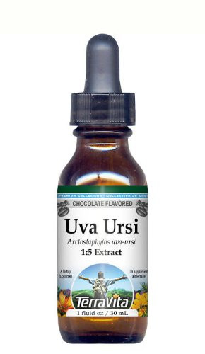 Uva Ursi (Bearberry) - Glycerite Liquid Extract (1:5) - Chocolate Flavored (1 fl oz, ZIN: 428211) - 2 Pack