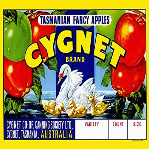 Buyenlarge 0-587-22601-3-G1827 'Cygnet Tasmanian Fancy Apples' Giclee Fine Art Print, 18" x 27"