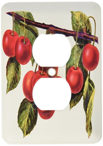 3dRose lsp_50261_6 Victorian Cherries on Vine  2 Plug Outlet Cover