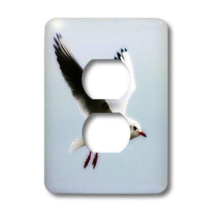 3dRose  lsp_47240_6 Seagull Art Birds Nature 2 Plug Outlet Cover