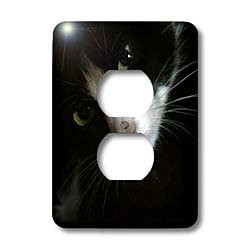 3dRose lsp_46160_6 katt, cat Outlet Cover