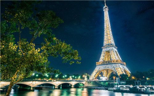 Eiffel Tower Night View - 3D Puzzles Gift for Teens and Adults - 1000 Piece Wooden Puzzle