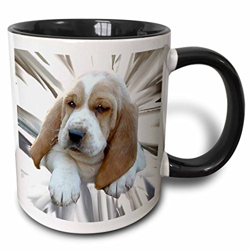3dRose 4268_4""Basset Hound Puppy" Two Tone Black Mug, 11 oz, Multicolor 3dRose 4268_4""Basset Hound Puppy" Two Tone Black Mug, 11 oz, Multicolor