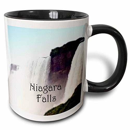 3dRose 9261_4 Niagara Falls - B - Two Tone Black Mug 11 oz Multicolor
