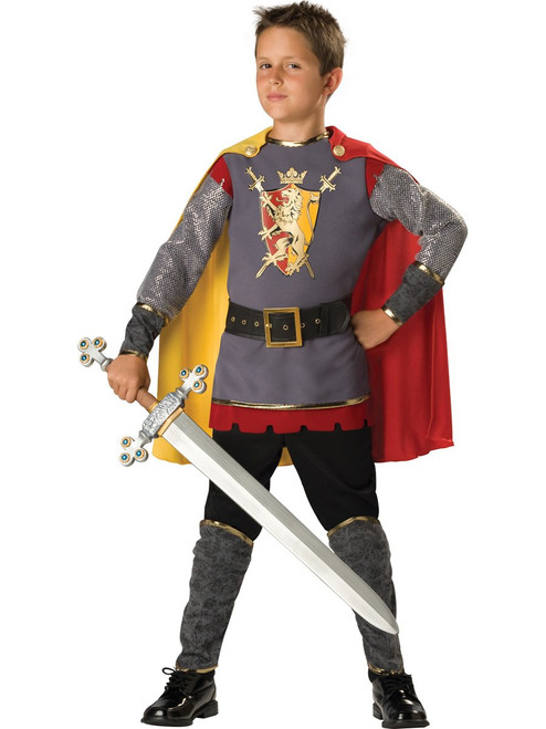 In Character Costumes, LLC Boys 2-7 Loyal Knight Tunic Set, Silver/Burgundy, 4