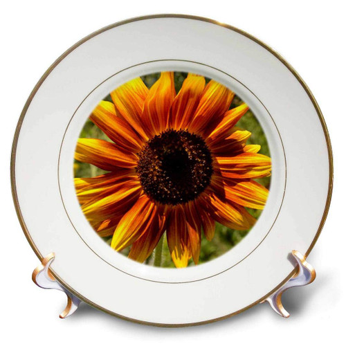 3dRose cp_30794_1 Orange and Yellow Summer Sunflower Flowers-Porcelain Plate, 8-Inch