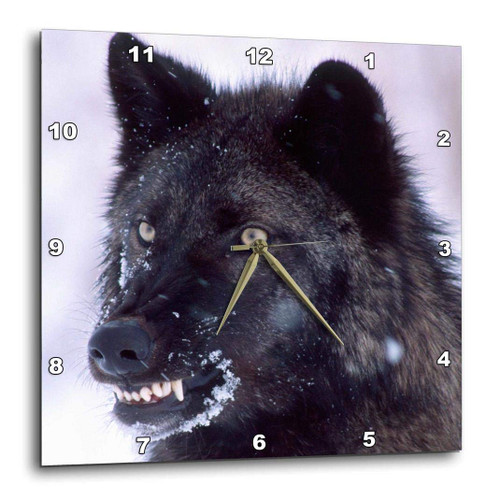 3dRose DPP_83896_1 Black Timber Wolf Snarling, Canus Lupus NA02 DNO0314 David Northcott Wall Clock, 10 by 10"