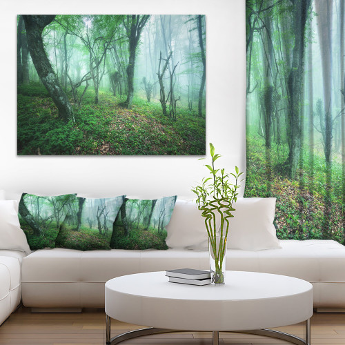 Designart PT8443-20-12 Trail Through Green Forest-Landscape Photo Canvas Print-20x12, 12" H x 20" W x 1" D 1P Designart PT8443-20-12 Trail Through Green Forest-Landscape Photo Canvas Print-20x12, 12" H x 20" W x 1" D 1P
