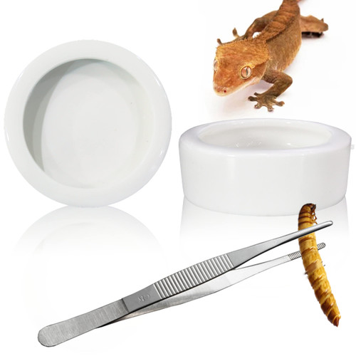 2Pcs Mini Reptile Food Dish Bowls Worm Water Dish Feeder Lizard Gecko Ceramic Pet Bowls with Tongs for Tortoise Lizard Bearded Dragon Frog Leopard Gecko Snake Chameleon(Small, 1.93Inch) 2Pcs Mini Reptile Food Dish Bowls Worm Water Dish Feeder Lizard Gecko Ceramic Pet Bowls with Tongs for Tortoise Lizard Bearded Dragon Frog Leopard Gecko Snake Chameleon(Small, 1.93Inch)