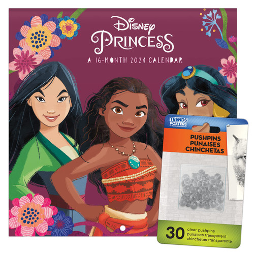 2024 Disney Princess Mini Wall Calendar & Push Pins
