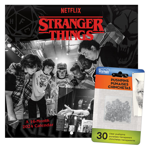 2024 Netflix Stranger Things Mini Wall Calendar & Push Pins