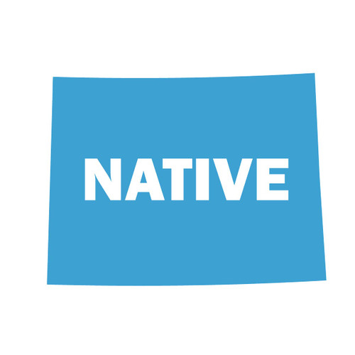 Milk Mug Designs Wyoming Native State Map Shape Home State 8 inch Ice Blue Vinyl Decal