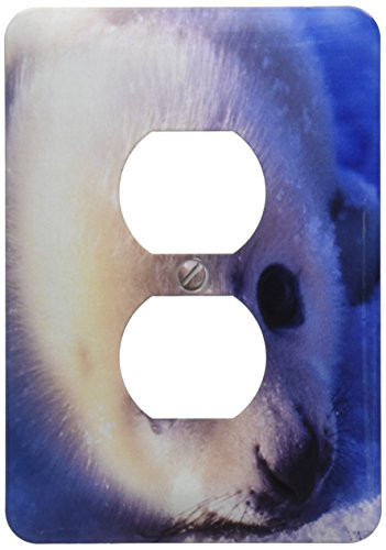 3dRose lsp_46218_6 A Harp Seal Pup Crying. Gulf Of St. Lawrence, Canada Outlet Cover