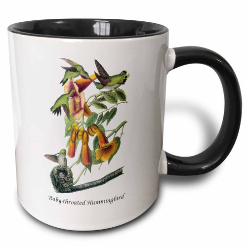 3dRose Ruby-throated Hummingbird by John James Audubon Two Tone Mug, 11 oz, Black/White