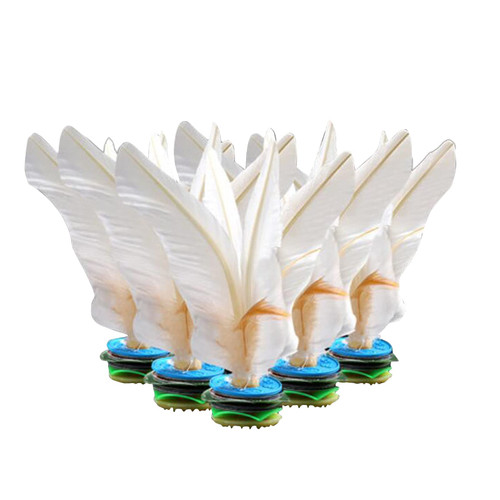 Fengshuibringluck Goose Feather Kickit Pro-Trainer Chinese JianZi Foot Sport Professional Competition 5PCS