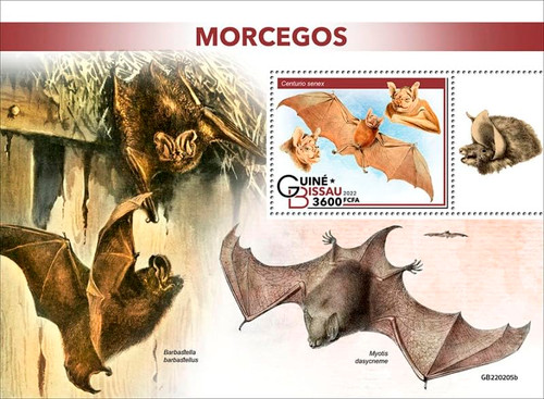 Guinea-Bissau - 2022 Bats, Wrinkle-Faced - Stamp Souvenir Sheet - GB220205b