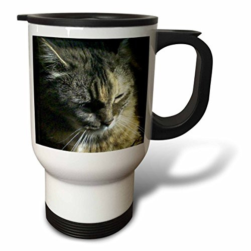 3dRose Gorgeous Maine Coon Cat Lazing in The Sun Travel Mug, 14-Ounce, Stainless Steel