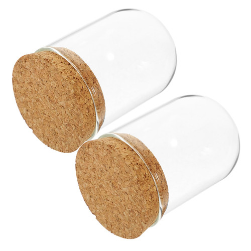 Abaodam 2 Sets Glass Cover Preserved Flower Cover Glass Dome Cover The Gift Forever Roses Dome Glass Bell Jar Dome Glass Cloche Globe Glass Domes Decor Clear Glass Dome Plant Cork Gift Jar