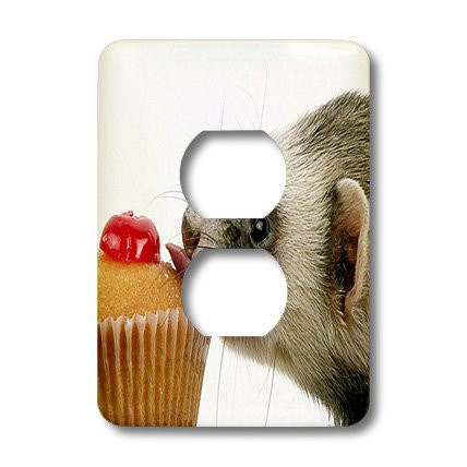 3dRose lsp_17288_6"Ferret Eating Cupcake" 2 Plug Outlet Cover