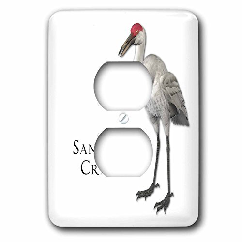 3dRose lsp_51595_6 Sandhill Crane Shorebird 2 Plug Outlet Cover