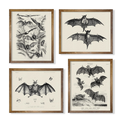 Whimsigothic Bats Wall Art Decor - Gifts for Vampire Fans - Vintage Goth Gothic Wall Decorations - Dark Academia Pictures - Creepy Bat Horror Spooky Posters - Medieval Pagan Wicca Hipster Zombie Art
