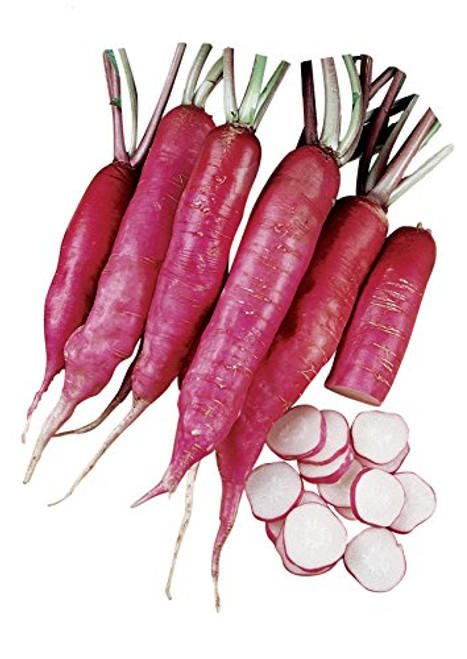 Burpee Salad Rose Radish Seeds 300 seeds