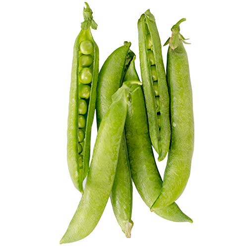 Burpee Maestro Pea Seeds  200 seeds